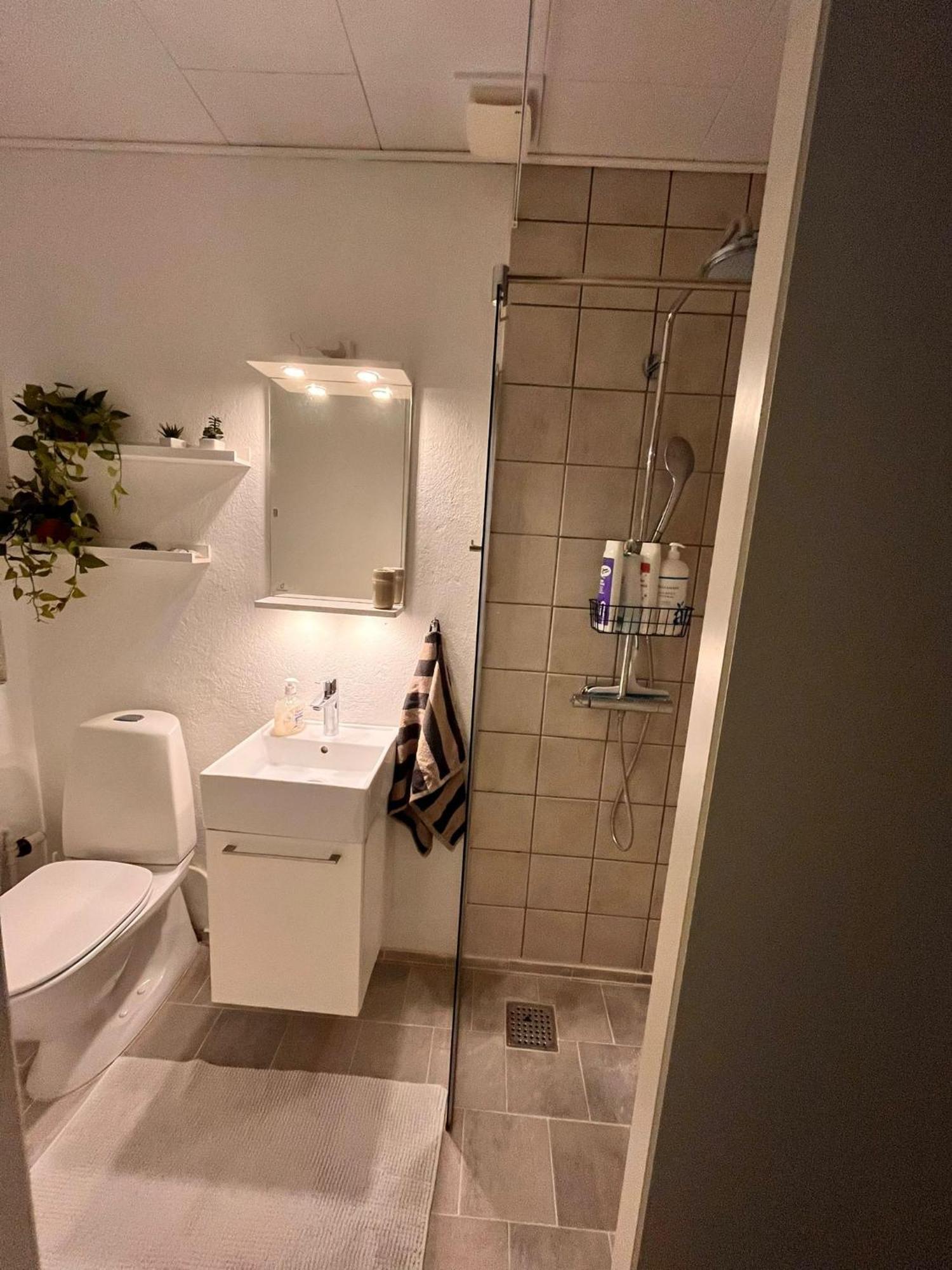 Shruti'S Home Billund Bagian luar foto